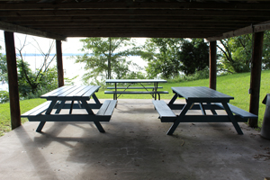 Existing picnic
                                                    tables painted to
                                                    extend life