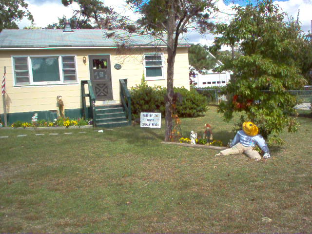 October Yard of             the Month